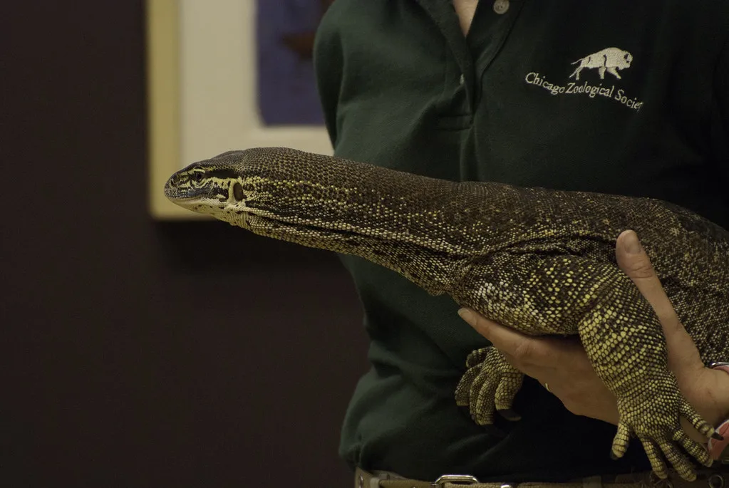 Midwest Natural History Museum