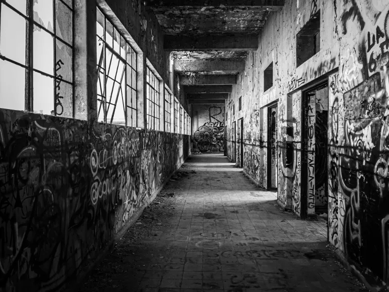 Messages from the Maze: Decoding the Graffiti That Shouldn't Exist