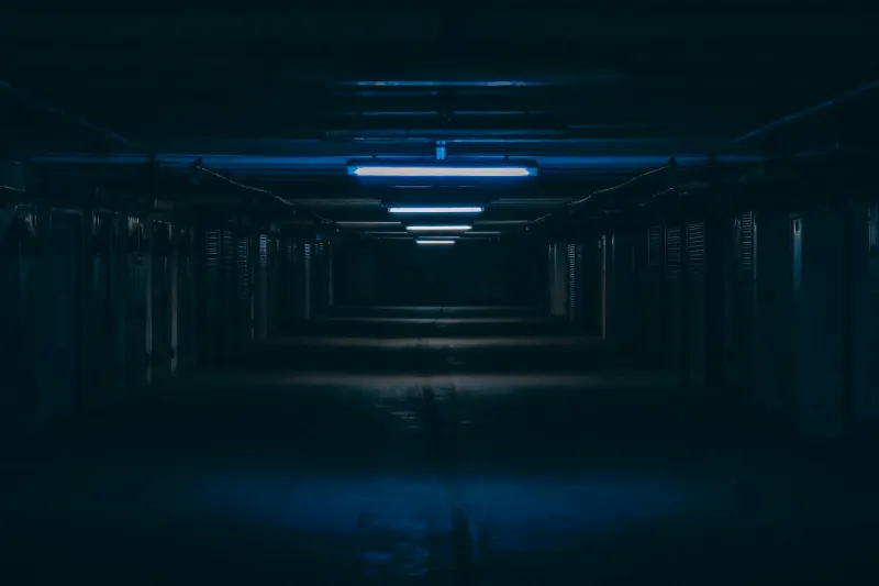 The Persistent Frequency: Mapping the Omnipresent Drone That Echoes Through Infinite Corridors