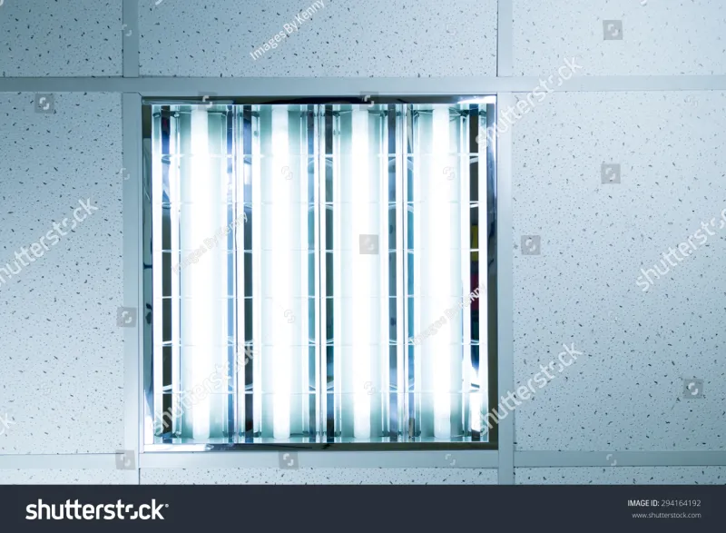 The Warning Signs: What Happens in the Moments Before Reality Breaks