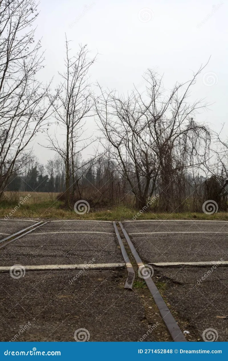 When Rails Lead Nowhere: The Crossing Tender Who Logged Ghost Schedules