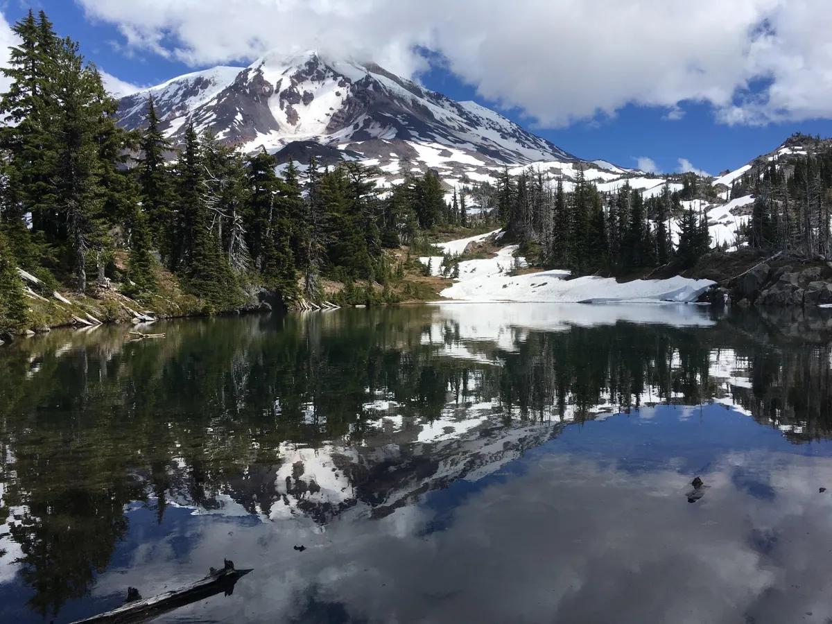 Cascade National Forest